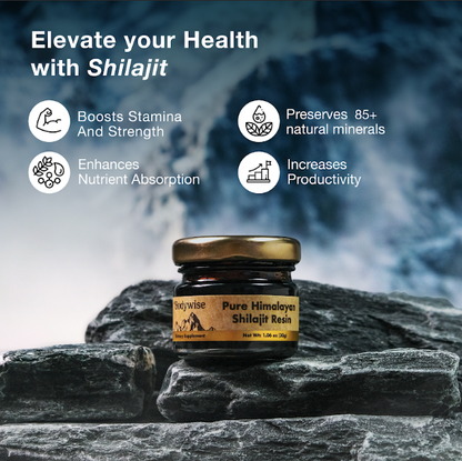 Be Bodywise Resina Shilajit Pura del Himalaya