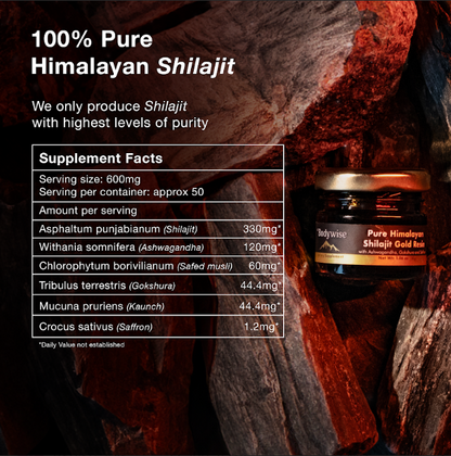 Be Bodywise Pure Himalayan Shilajit Resin